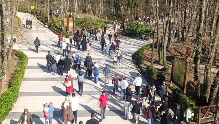 Güzel Havanın Rotası Ormanya Oldu