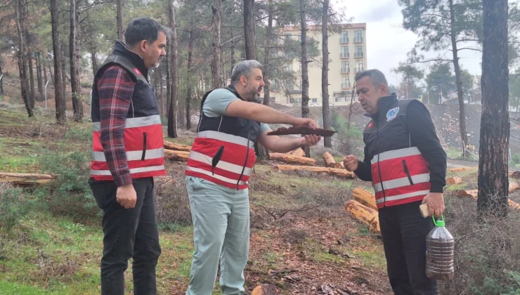 Hatay’da Mücbir Ağaç Kesimlerine 'Tabiatı Koruma'Dan Açıklama