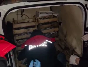 İzmir'De Yasadışı Avcılığa Karşı Sıkı Önlem