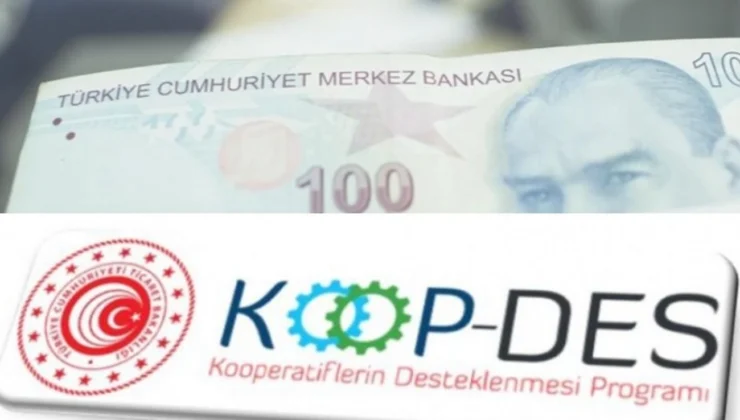 Koop-Des Yönetmeliği’nde Değişiklik Resmi Gazete'De