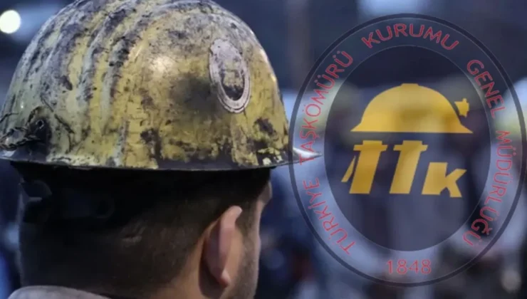 Mahkeme, TTK Armutçuk Müessesesi için ‘üretime devam’ dedi