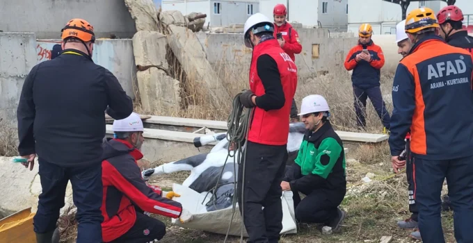 Afad’dan Uluslararası Iş Birliğiyle Hayvan Koruma Projesi… Resq-Animals Başladı