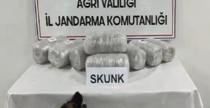 Ağrı’da 10 Kilogram Skunk Ele Geçirildi