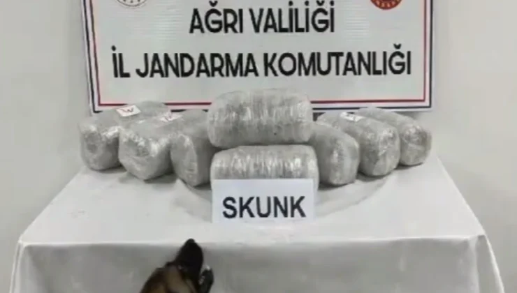 Ağrı’da 10 Kilogram Skunk Ele Geçirildi