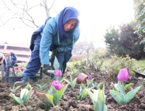 Bursa Osmangazi’nin Her Bir Noktası Çiçek Açtı