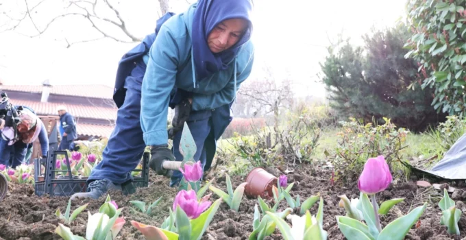 Bursa Osmangazi’nin Her Bir Noktası Çiçek Açtı