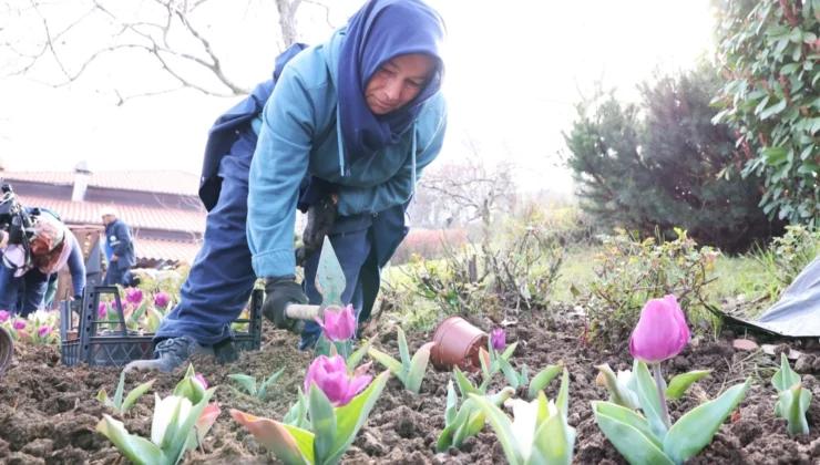 Bursa Osmangazi’nin Her Bir Noktası Çiçek Açtı
