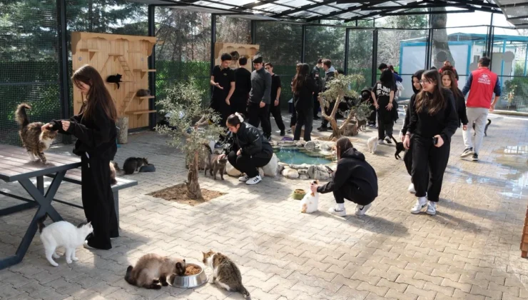 Bursa Yıldırım’da Gençlerden Patili Dostlara Sevgi Ziyareti