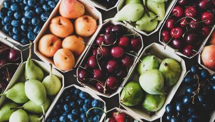 Egeli Yaş Meyve Sebze Ihracatçıları Üç Koldan Sürdürülebilirlik Atağında