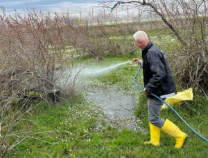 Enez'De Larva Ilaçlaması Başladı