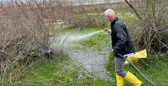 Enez'De Larva Ilaçlaması Başladı