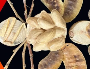 İzmit Oyuncak Müzesi’nde Yaratıcı Atölyeler Sürüyor