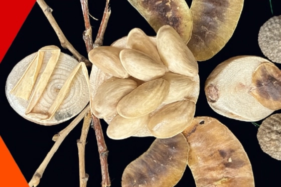 İzmit Oyuncak Müzesi’nde Yaratıcı Atölyeler Sürüyor