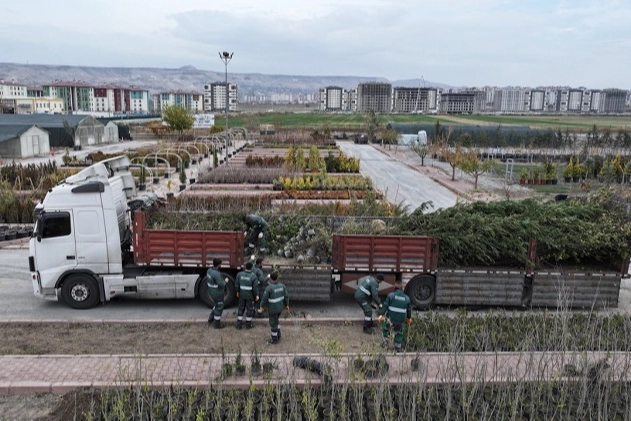 Kayseri Kocasinan'Dan Ağaç Dikme Rekoru