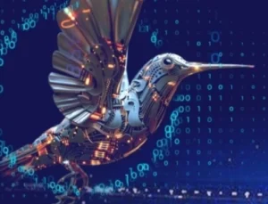 Meb Robot Yarışması’nda Başvuru Süresi Uzatıldı