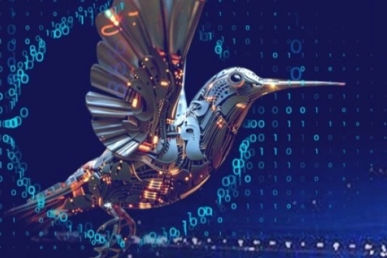 Meb Robot Yarışması’nda Başvuru Süresi Uzatıldı