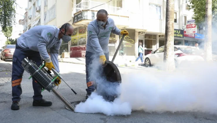 Mersin'De Haşere Alarmı