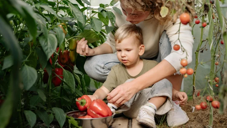 Sakarya’da Çocuklar Tarımın Kaşifi Olacak