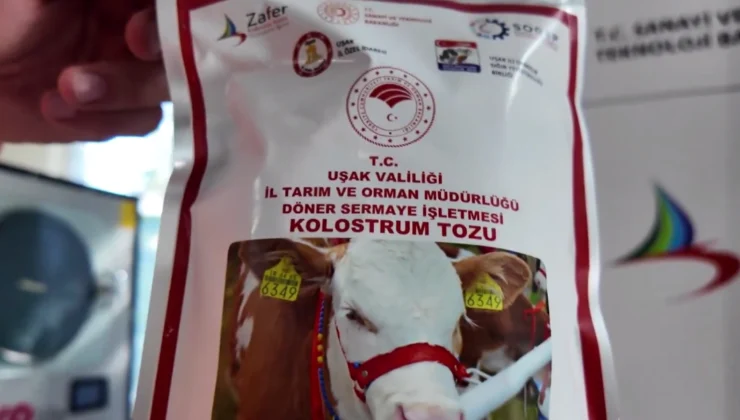 Uşak’ta Türkiye’nin Ilk Dondurarak Kurutma Kolostrom Tesisi Kuruldu… Hayvancılıkta Yenilikçi Adım Hayata Geçti