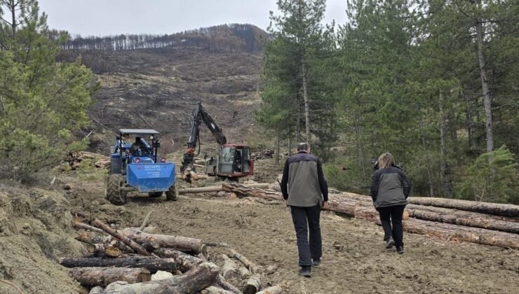 Zonguldak Orman Bölge Müdürlüğü’nden “Güvenlik Kuşağı” operasyonu