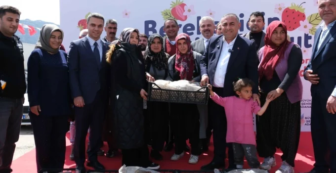 Adana Büyükşehir’den Pozantı’ya 900 Bin Çilek Fidesi Desteği