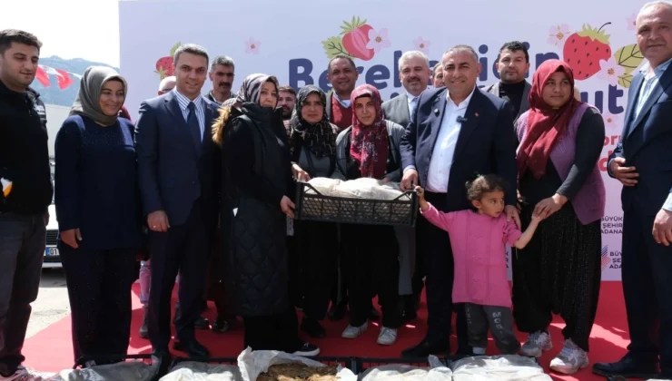Adana Büyükşehir’den Pozantı’ya 900 Bin Çilek Fidesi Desteği