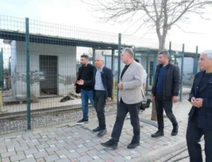 Adanalı Veterinerlerden Hayvan Bakımevine Inceleme
