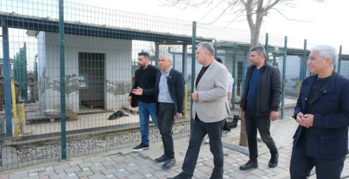 Adanalı Veterinerlerden Hayvan Bakımevine Inceleme