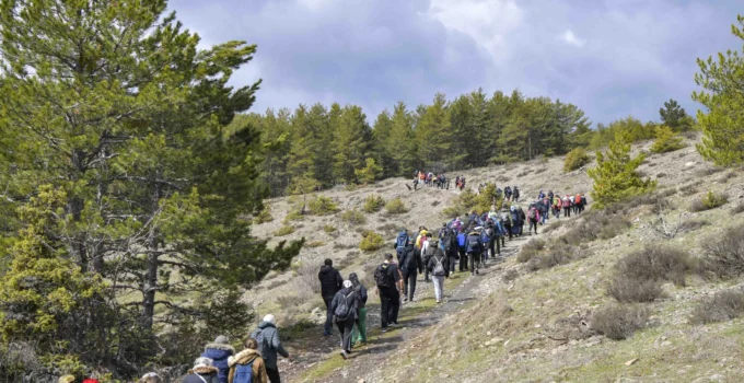 Başkentliler Şahinler Tabiat Parkı’nda Doğayla Buluştu