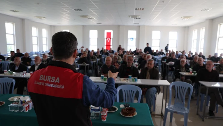 Bursa’da Zeytinde Yeni Dönem… B-Reçete Geliyor