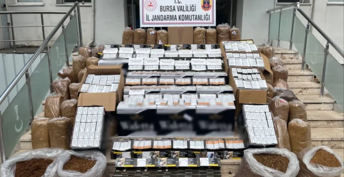 Bursa Gemlik’te Kaçak Tütün Operasyonu