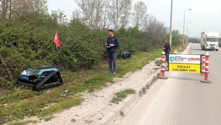 Kocaeli'De 'Çalı Canavarı' Durmak Bilmiyor