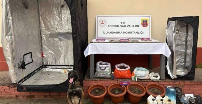 Çaycuma’da jandarmadan uyuşturucu serasına baskın: 2 tutuklama