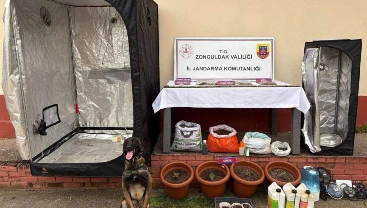 Çaycuma’da jandarmadan uyuşturucu serasına baskın: 2 tutuklama