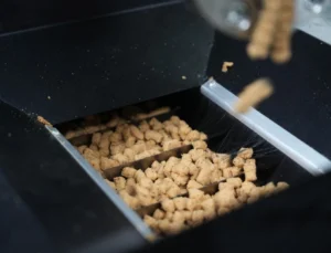 Eskişehir'De Atık Yemekler Mama Oluyor