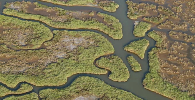 Gediz Havzası’nda Kirlilik Artıyor!