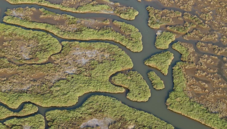 Gediz Havzası’nda Kirlilik Artıyor!