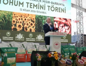 İstanbul’da Çiftçiye Dev Destek… 84 Ton Tohum Dağıtılacak