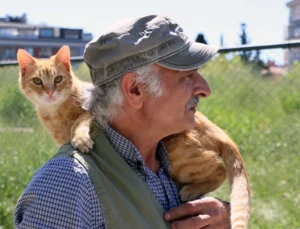 İstanbul Maltepe’de “Can Dostlar” Güvende