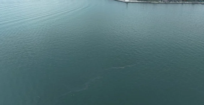 İzmir Körfezi’nde Dış Kaynaklı Kirliliğin Önüne Geçilemiyor