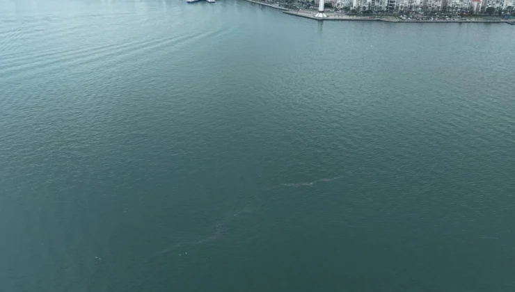 İzmir Körfezi’nde Dış Kaynaklı Kirliliğin Önüne Geçilemiyor