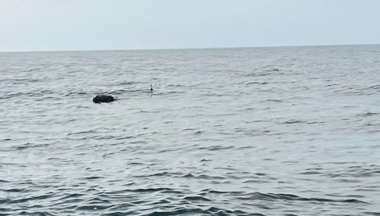 Karadeniz’deki Şüpheli Mayın Sas Timlerince Imha Edildi!