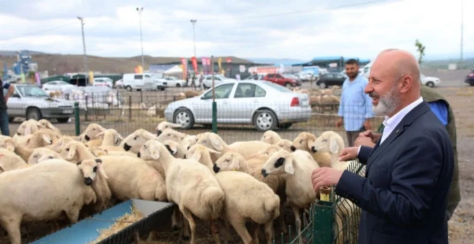 Kayseri Kocasinan'Dan Türkiye'Ye Örnek 'Kurban' Ihalesi