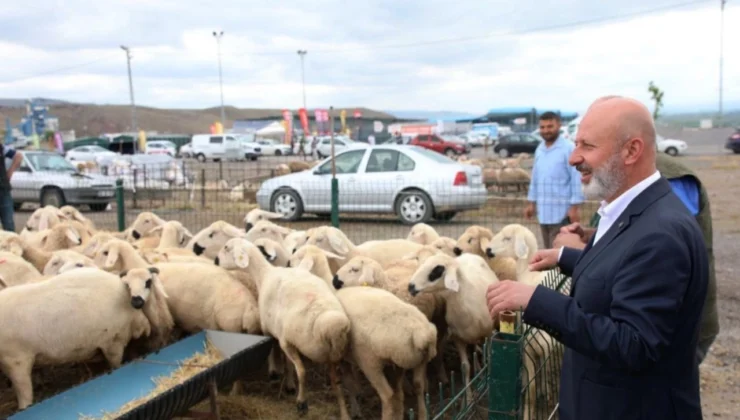 Kayseri Kocasinan'Dan Türkiye'Ye Örnek 'Kurban' Ihalesi