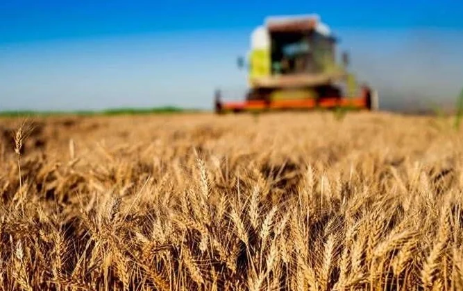 Kırsal Kalkınma Yatırımlarında 10 Milyar Tl'Lik Destek Başladı