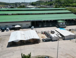 Kurban Bayramı Öncesi İzmit’te Alanlar Tahsis Ediliyor