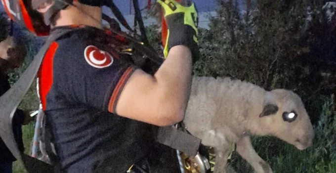 Kuyuya Düşen Kuzuya İzmir İtfaiyesi'Nden Nefes Kesen Kurtarma