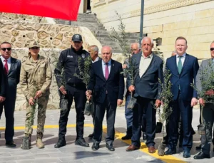 Mardin Yeşilli’de Tarihi Rekor! 102 Bin Meyveli Fidan Dağıtıldı