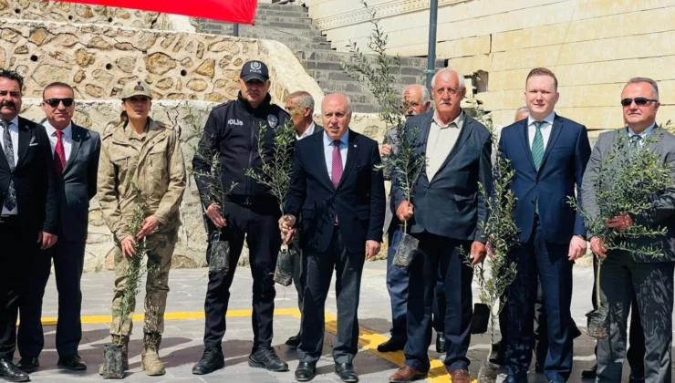 Mardin Yeşilli’de Tarihi Rekor! 102 Bin Meyveli Fidan Dağıtıldı