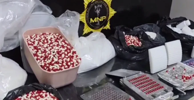 Mersin’de Tonlarca Sentetik Ecza Hammaddesi Ele Geçirildi